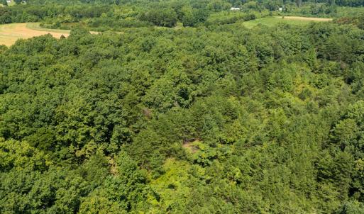 Photo #14 of SOLD property in Adkins Lane, Gretna, VA 13.7 acres