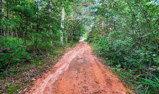 Photo #15 of SOLD property in Adkins Lane, Gretna, VA 13.7 acres
