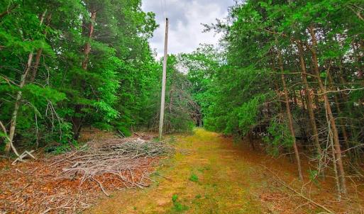 Photo #16 of SOLD property in Adkins Lane, Gretna, VA 13.7 acres