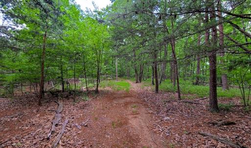 Photo #17 of SOLD property in Adkins Lane, Gretna, VA 13.7 acres