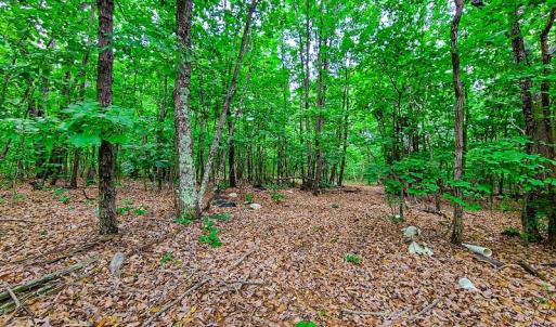 Photo #19 of SOLD property in Adkins Lane, Gretna, VA 13.7 acres