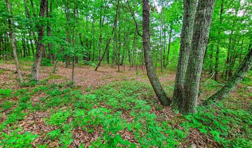 Photo #21 of SOLD property in Adkins Lane, Gretna, VA 13.7 acres