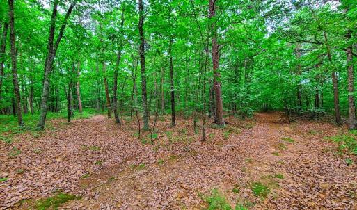 Photo #22 of SOLD property in Adkins Lane, Gretna, VA 13.7 acres