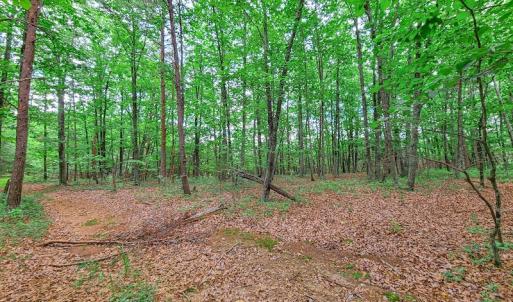 Photo #23 of SOLD property in Adkins Lane, Gretna, VA 13.7 acres