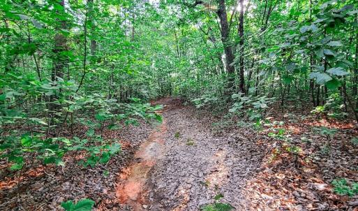 Photo #27 of SOLD property in Adkins Lane, Gretna, VA 13.7 acres