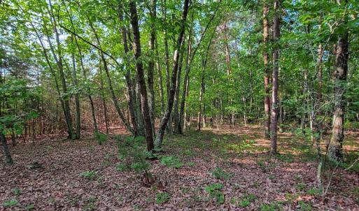 Photo #31 of SOLD property in Adkins Lane, Gretna, VA 13.7 acres