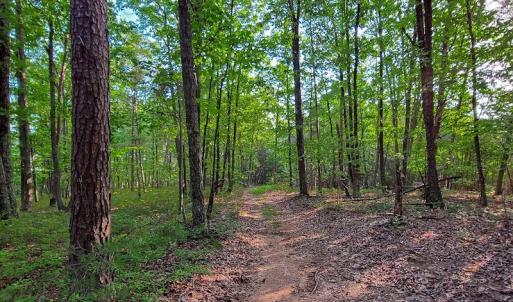 Photo #32 of SOLD property in Adkins Lane, Gretna, VA 13.7 acres