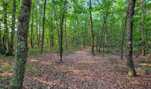 Photo #33 of SOLD property in Adkins Lane, Gretna, VA 13.7 acres