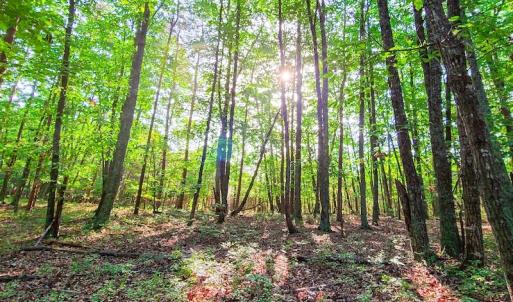 Photo #34 of SOLD property in Adkins Lane, Gretna, VA 13.7 acres