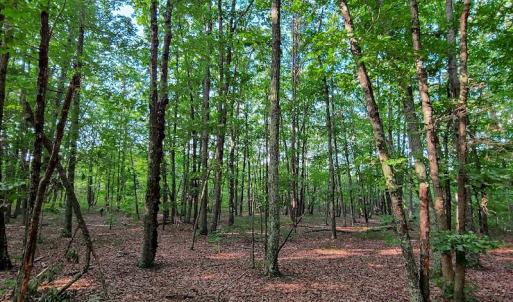 Photo #35 of SOLD property in Adkins Lane, Gretna, VA 13.7 acres
