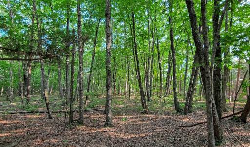 Photo #36 of SOLD property in Adkins Lane, Gretna, VA 13.7 acres