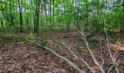Photo #37 of SOLD property in Adkins Lane, Gretna, VA 13.7 acres