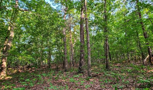 Photo #38 of SOLD property in Adkins Lane, Gretna, VA 13.7 acres