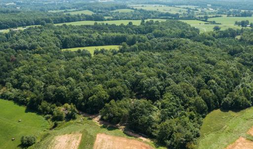 Photo #3 of SOLD property in Adkins Lane, Gretna, VA 13.7 acres