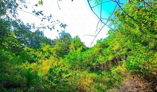 Photo #40 of SOLD property in Adkins Lane, Gretna, VA 13.7 acres