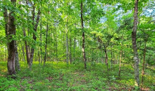 Photo #41 of SOLD property in Adkins Lane, Gretna, VA 13.7 acres