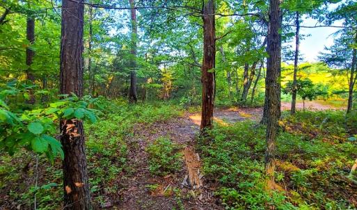 Photo #42 of SOLD property in Adkins Lane, Gretna, VA 13.7 acres