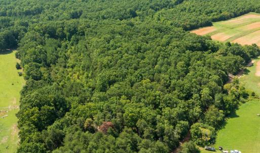 Photo #5 of SOLD property in Adkins Lane, Gretna, VA 13.7 acres