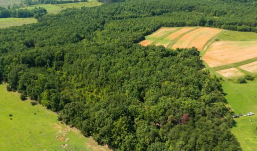 Photo #6 of SOLD property in Adkins Lane, Gretna, VA 13.7 acres