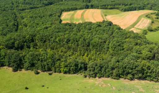 Photo #7 of SOLD property in Adkins Lane, Gretna, VA 13.7 acres