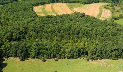 Photo #8 of SOLD property in Adkins Lane, Gretna, VA 13.7 acres