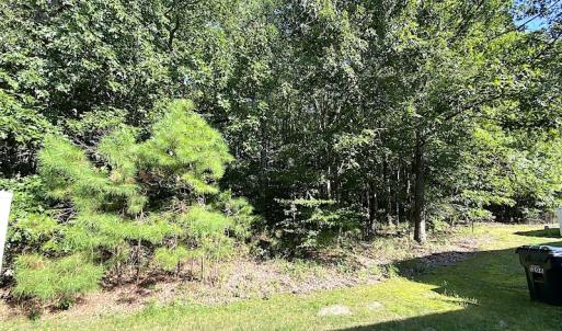 Photo #8 of SOLD property in 1208 Island Park Circle, Suffolk, VA 0.1 acres