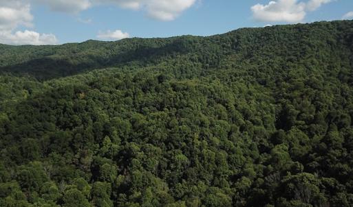 Photo #6 of SOLD property in Off Nebo Mountain Road, Ceres, VA 86.3 acres