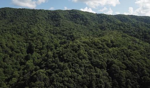 Photo #7 of SOLD property in Off Nebo Mountain Road, Ceres, VA 86.3 acres