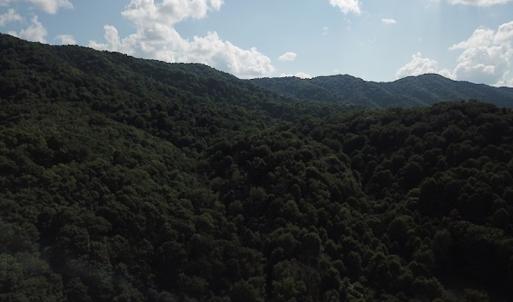Photo #8 of SOLD property in Off Nebo Mountain Road, Ceres, VA 86.3 acres