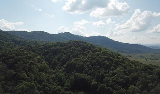Photo #9 of SOLD property in Off Nebo Mountain Road, Ceres, VA 86.3 acres