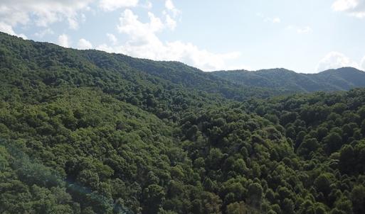 Photo #10 of SOLD property in Off Nebo Mountain Road, Ceres, VA 86.3 acres