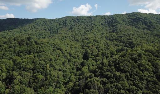 Photo #12 of SOLD property in Off Nebo Mountain Road, Ceres, VA 86.3 acres
