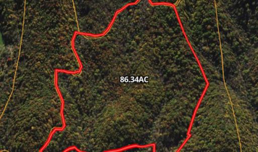 Photo #2 of SOLD property in Off Nebo Mountain Road, Ceres, VA 86.3 acres