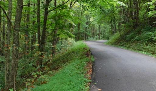 Photo #23 of SOLD property in Off Nebo Mountain Road, Ceres, VA 86.3 acres