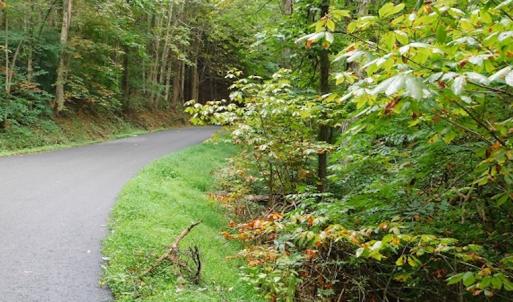 Photo #24 of SOLD property in Off Nebo Mountain Road, Ceres, VA 86.3 acres