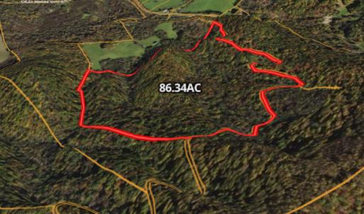 Photo #3 of SOLD property in Off Nebo Mountain Road, Ceres, VA 86.3 acres