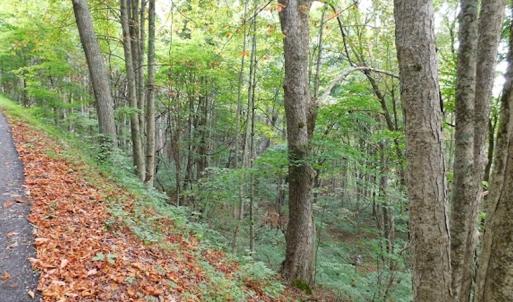 Photo #26 of SOLD property in Off Nebo Mountain Road, Ceres, VA 86.3 acres