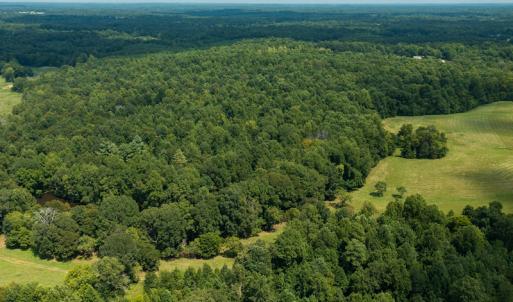 Photo #11 of Mrs White Lane, Mebane, NC 131.7 acres