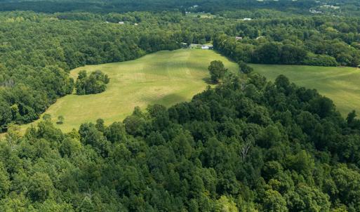 Photo #12 of Mrs White Lane, Mebane, NC 131.7 acres