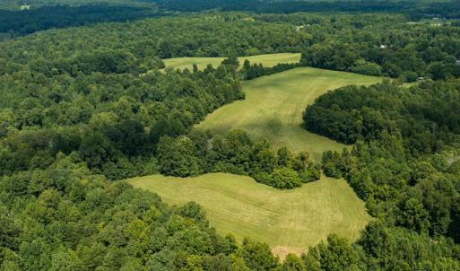 Photo #14 of Mrs White Lane, Mebane, NC 131.7 acres