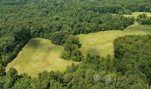 Photo #15 of Mrs White Lane, Mebane, NC 131.7 acres