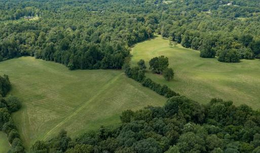 Photo #17 of Mrs White Lane, Mebane, NC 131.7 acres
