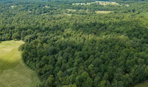 Photo #19 of Mrs White Lane, Mebane, NC 131.7 acres