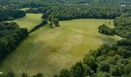 Photo #20 of Mrs White Lane, Mebane, NC 131.7 acres