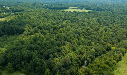 Photo #3 of Mrs White Lane, Mebane, NC 131.7 acres