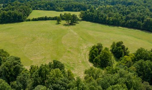 Photo #21 of Mrs White Lane, Mebane, NC 131.7 acres
