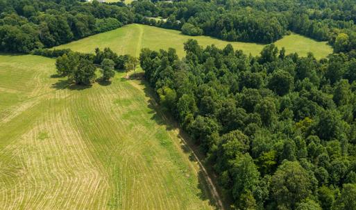 Photo #26 of Mrs White Lane, Mebane, NC 131.7 acres
