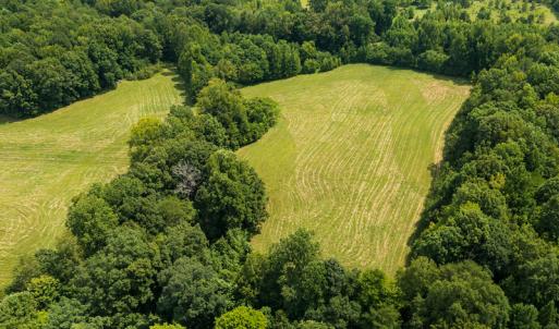 Photo #27 of Mrs White Lane, Mebane, NC 131.7 acres