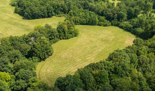 Photo #28 of Mrs White Lane, Mebane, NC 131.7 acres