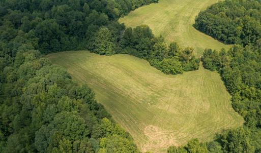 Photo #29 of Mrs White Lane, Mebane, NC 131.7 acres